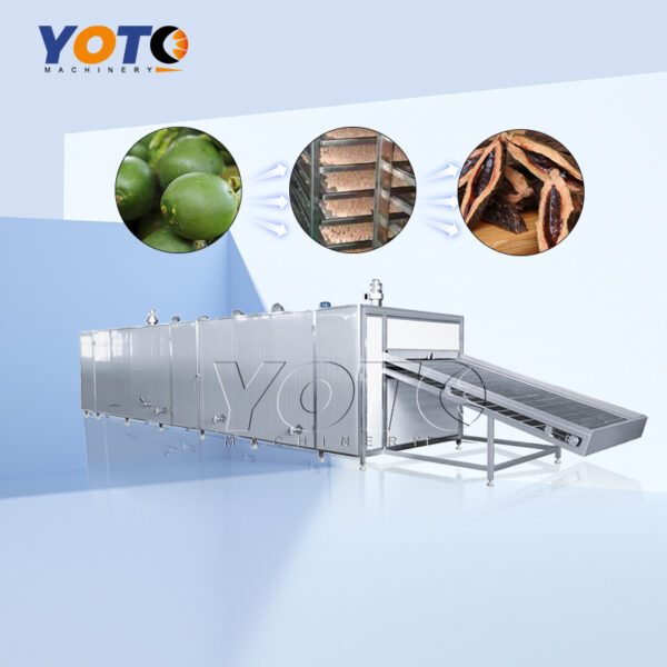 Arecanut Mesh Belt Dryer