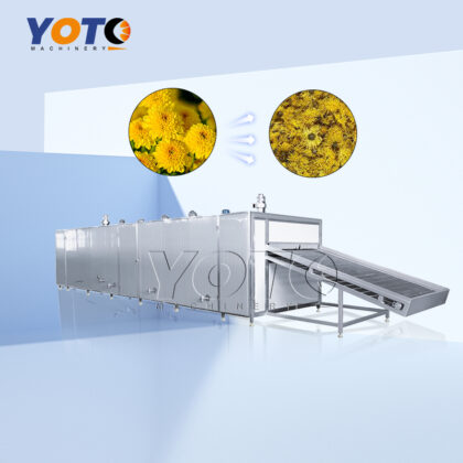 Chrysanthemum Mesh Belt Dryer