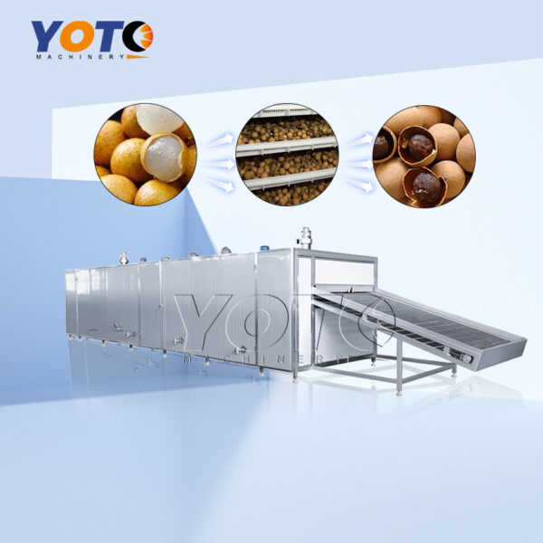 Longan Mesh Belt Dryer