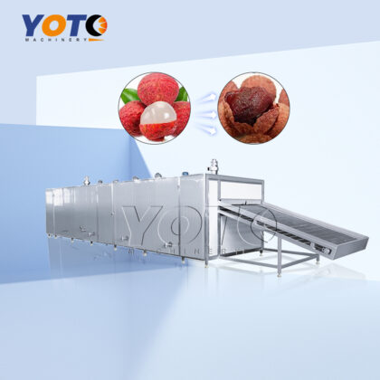 Lychee Mesh Belt Dryer