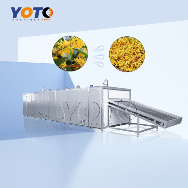 Osmanthus Mesh Belt Dryer