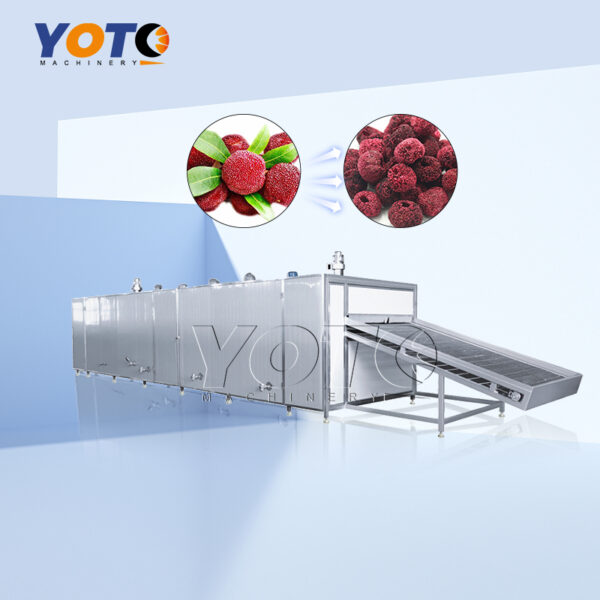 Wax Berry Mesh Belt Dryer