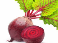 beet 1