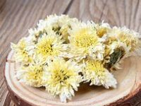 chrysanthemum 2