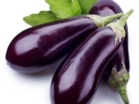 eggplant 1