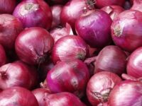 onion 1